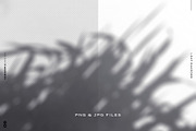 Leaf Shadows, a Templates & Theme by TANOSHII DESIGN (Thumbnail 3 of 10)