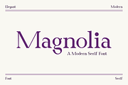 Magnolia - Business Font, a Serif Font by RockboyStd (Thumbnail 1 of 12)