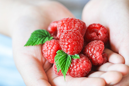 Heap of fresh ripe raspberries., a Food & Drink Photo by Galiyah Assan