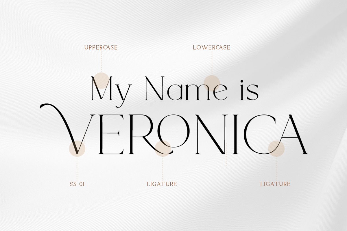 Rotweiler - Fashion Font, a Serif Font by RockboyStd (Photo 7 of 12)