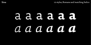Sina, a Serif Font by Hoftype (Thumbnail 13 of 15)