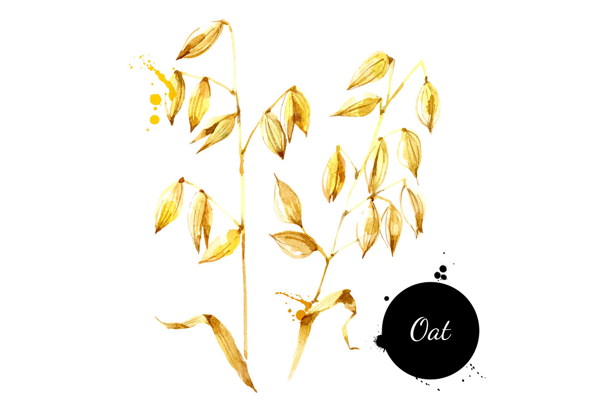 Watercolor Superfood Vector Set, a Food Illustration by Elena Pimonova (Photo 3 of 5)