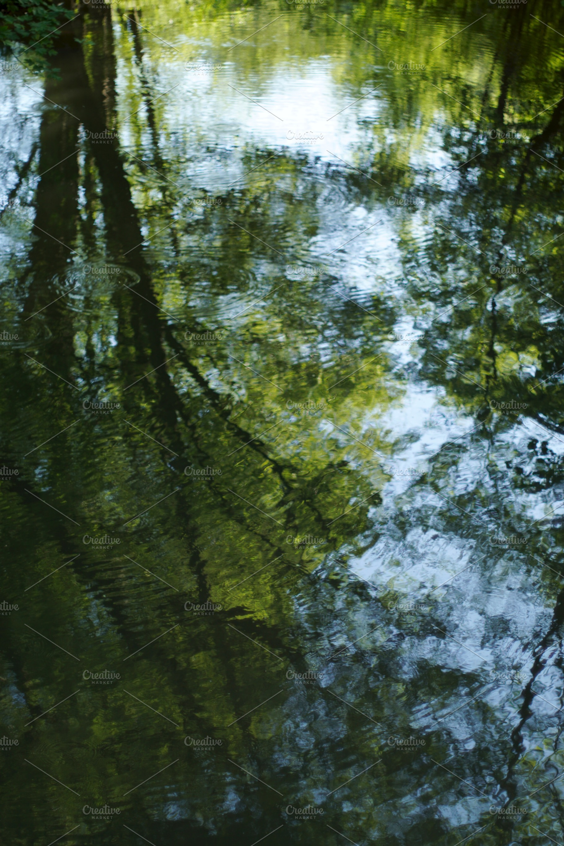 Morning bokeh containing high resolution, photo, and background, a Nature Photo by ateliervonau
