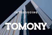 Tomony, a Serif Font by lelevien (Thumbnail 2 of 4)