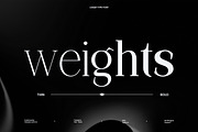 Lunar Type - Family Serif Font, a Serif Font by Flawless And Co (Thumbnail 4 of 10)
