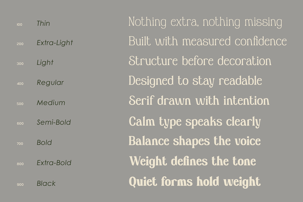 Sealine, a Serif Font by din-studio.com (Photo 4 of 11)