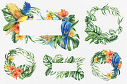 Parrots & tropical leaves watercolor, an Animal Illustration by NATASHA CHU (Thumbnail 7 of 21)