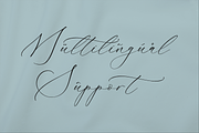 Gladioss Feather Luxury Script Font, a Script Font by Storytype Studio (Thumbnail 12 of 15)