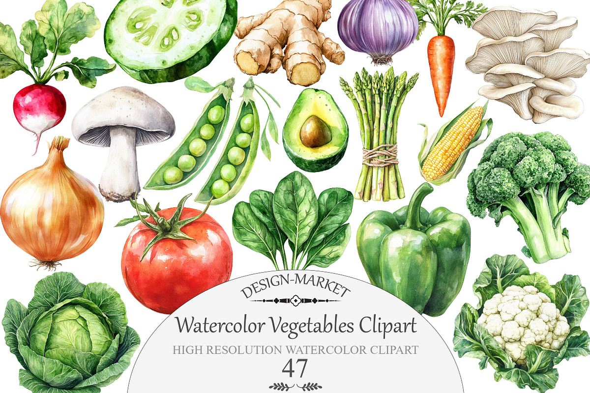 Watercolor Vegetables Clipart, an Illustration by Design Market (Photo 1 of 5)