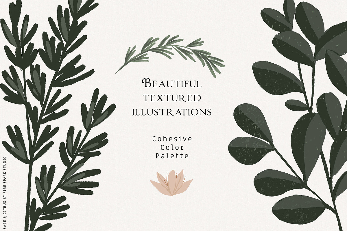 Sage Green Citrus Illustrations, an Object Illustration by Fire Spark Studio (Photo 2 of 9)