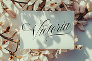 Monalisa Script Font, a Script Font by Letteralle Studios (Thumbnail 11 of 23)