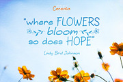 Cerealia Spring Handwritten Font Duo, a Handwritten Font by LTNG STUDIO (Thumbnail 7 of 8)