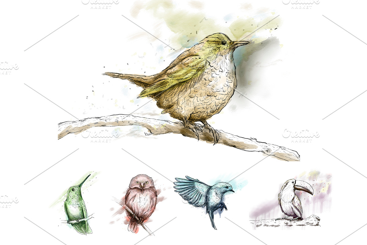 5 Ink Watercolor Birds, an Animal Illustration by Natsuhisui (Photo 1 of 8)