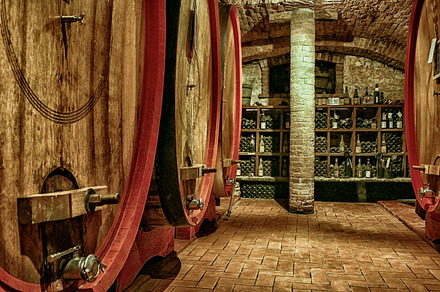 Glass With Red Wine In Vineyard Stock Photo Containing Red And Wine preview 6