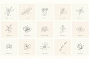 Botanical Hand Drawn Designs, Logos, a Seasonal Illustration by Designwork (Thumbnail 13 of 22)