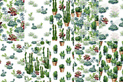 Cacti & Succulents, a Decorative Illustration by Anna Myslivets Art (Thumbnail 9 of 9)