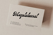 Birchside Script, a Script Font by Get Studio (Thumbnail 12 of 28)