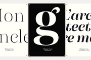 Morison Display & Serif, a Serif Font by Fenotype (Thumbnail 4 of 9)