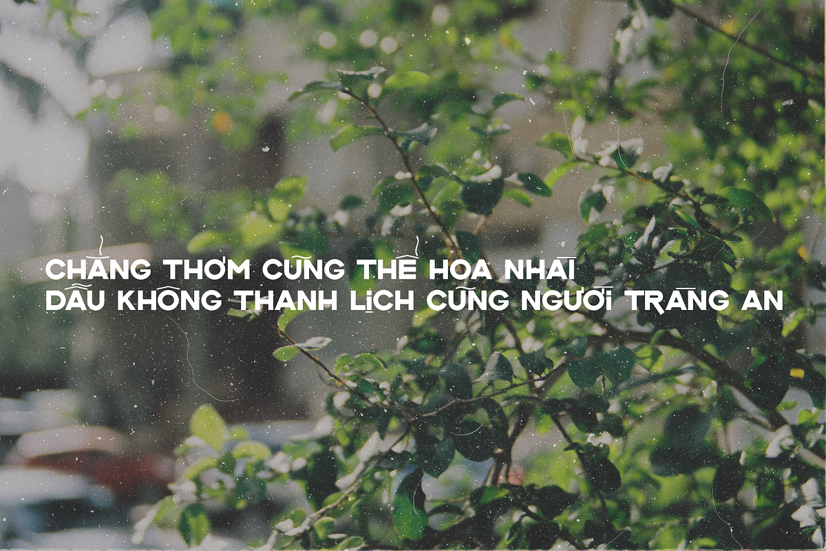 L'Hanoienne Typeface preview 5