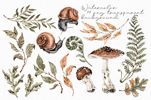 Forest Plants And Snails Watercolor