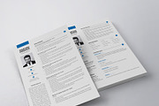 Professional Resume/CV Template, a Resume Template by HueNestify (Thumbnail 5 of 5)