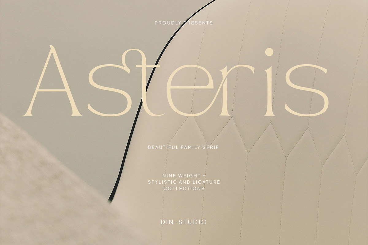 Asteris, a Serif Font by din-studio.com (Photo 1 of 11)