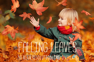 Falling Leaves Overlays