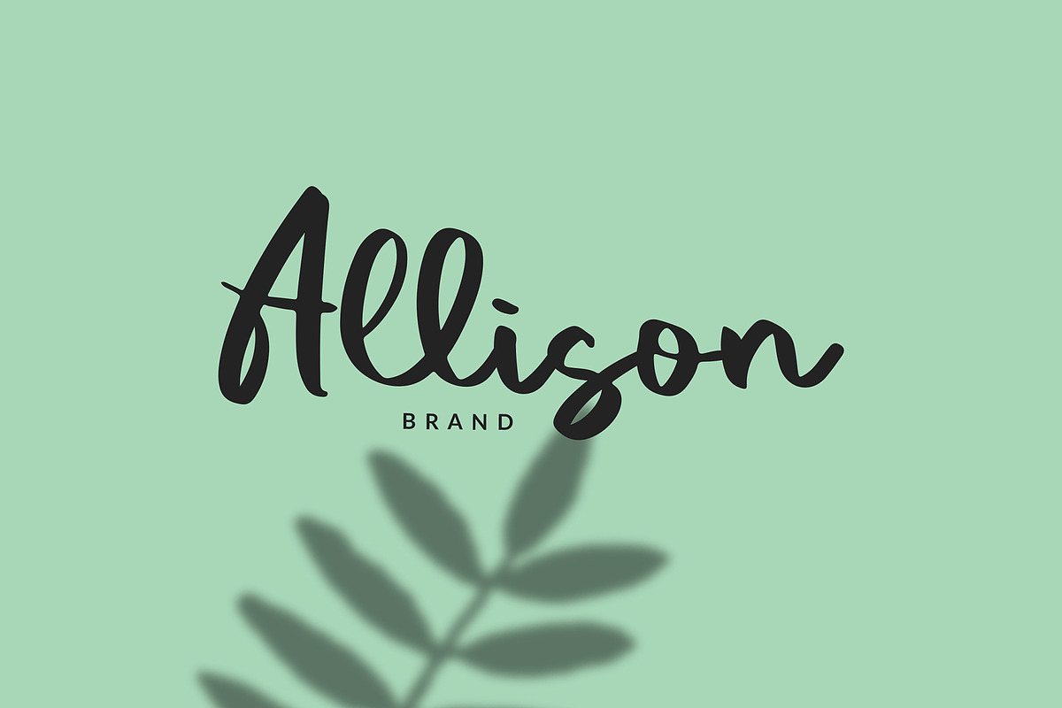 Vacation Modern Script Font, a Script Font by Giant Design (Photo 2 of 10)