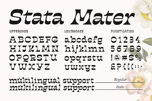 Stata Mater Classic Serif Font