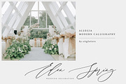 Allegia Handwritten Wedding Font, a Handwritten Font by etigletters (Thumbnail 3 of 10)