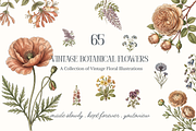 Vintage Botanical Flowers, a Decorative Illustration by youtoview (Thumbnail 1 of 14)