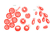Tomato Farm Vector Collection, a Food Illustration by Lubov Illustrations Shop (Thumbnail 8 of 13)