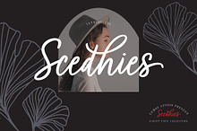 Scedhies - Script