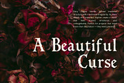 Dark Fairytale Display Serif Font, a Font by foxsong (Thumbnail 2 of 6)
