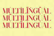 Aquitha || Elegant Serif Font, a Serif Font by Idea Studio (Thumbnail 9 of 10)