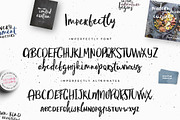 Typographer's Dream Box + 200 Logos, a Script Font by Mats-Peter Forss (Thumbnail 54 of 130)