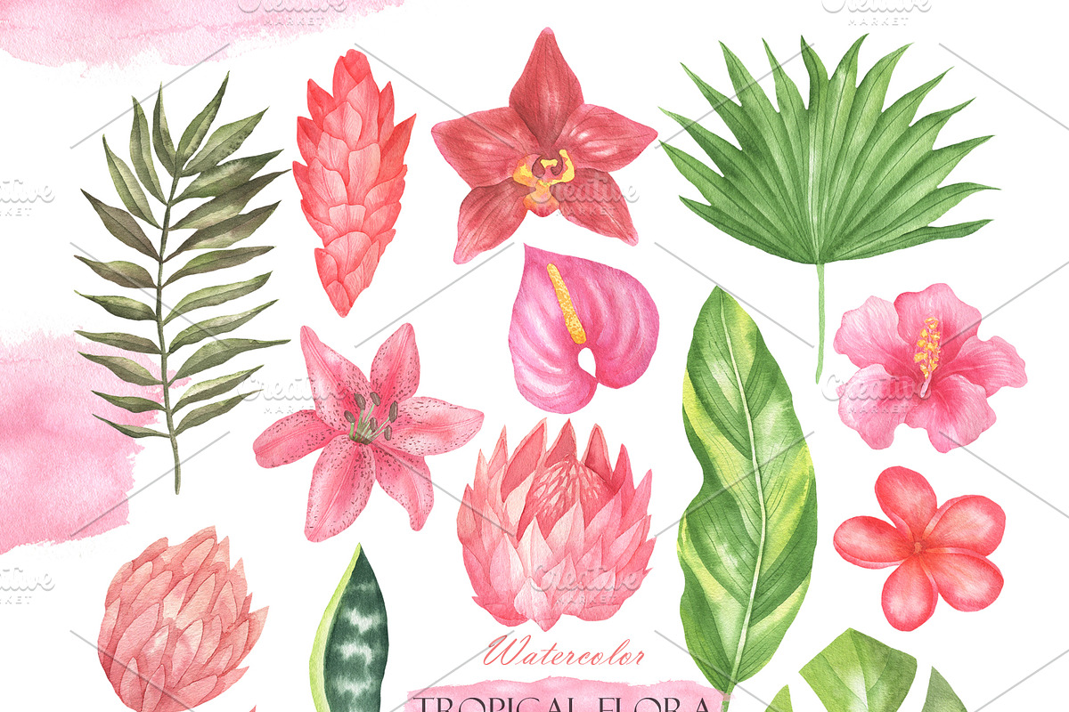 Watercolor Pink Flamingo, an Illustration by OlDm_Shop (Photo 3 of 6)