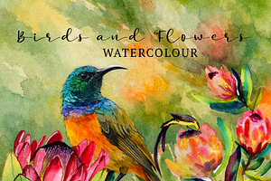 Birds and Flowers