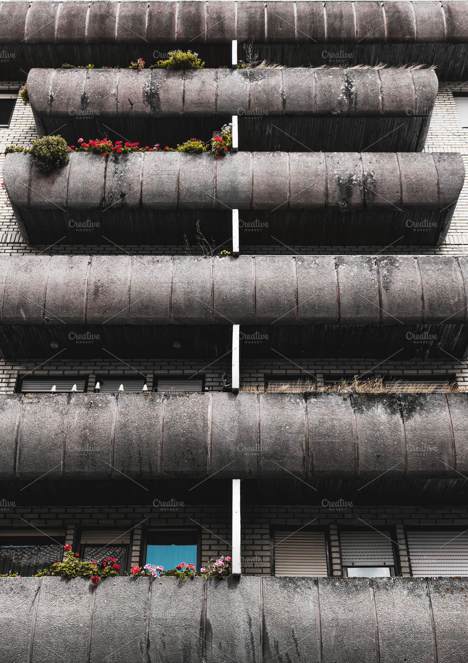 Concrete balconies with flowers, an Architecture Photo by SkyNext