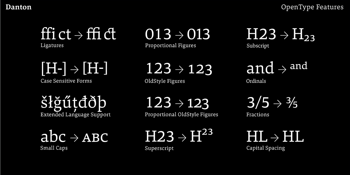 Danton, a Serif Font by Hoftype (Photo 15 of 15)