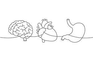 Set of human organ one line, a Healthcare Illustration by GraphiShop