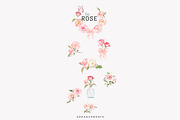 Watercolor June Flower Clipart Set, a Decorative Illustration by Patishop Art (Thumbnail 8 of 10)