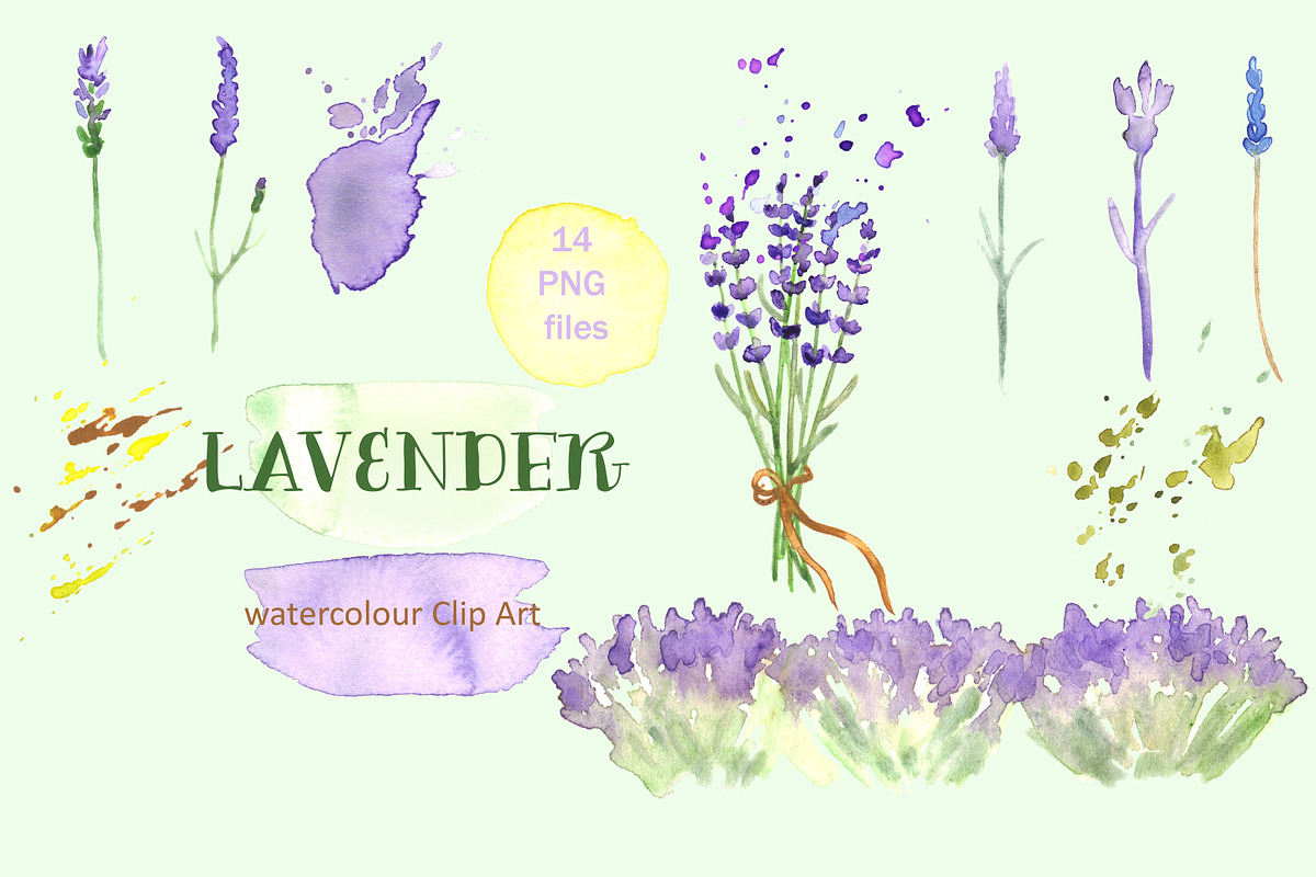 Lavender watercolor clip art, an Illustration by LABFcreations (Photo 2 of 2)