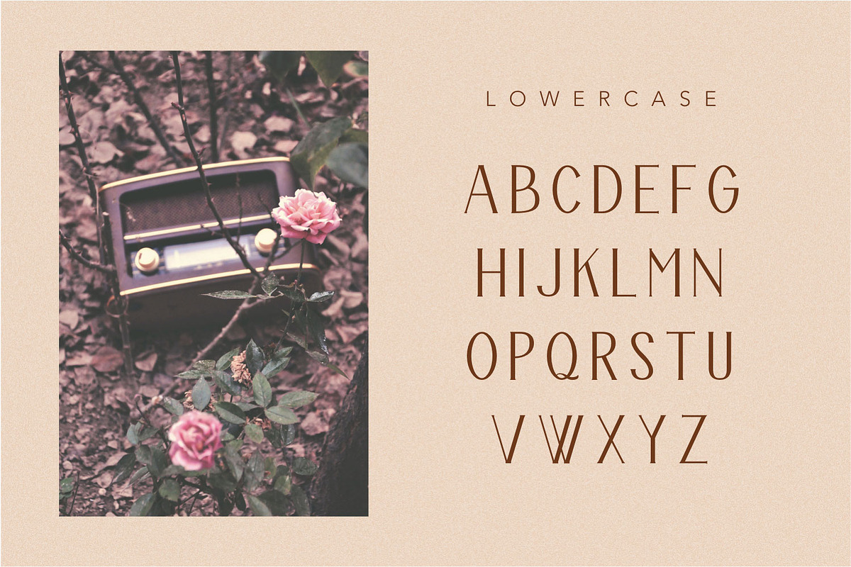 The Bravery, a Serif Font by Pollux of Geminorum (Photo 3 of 12)