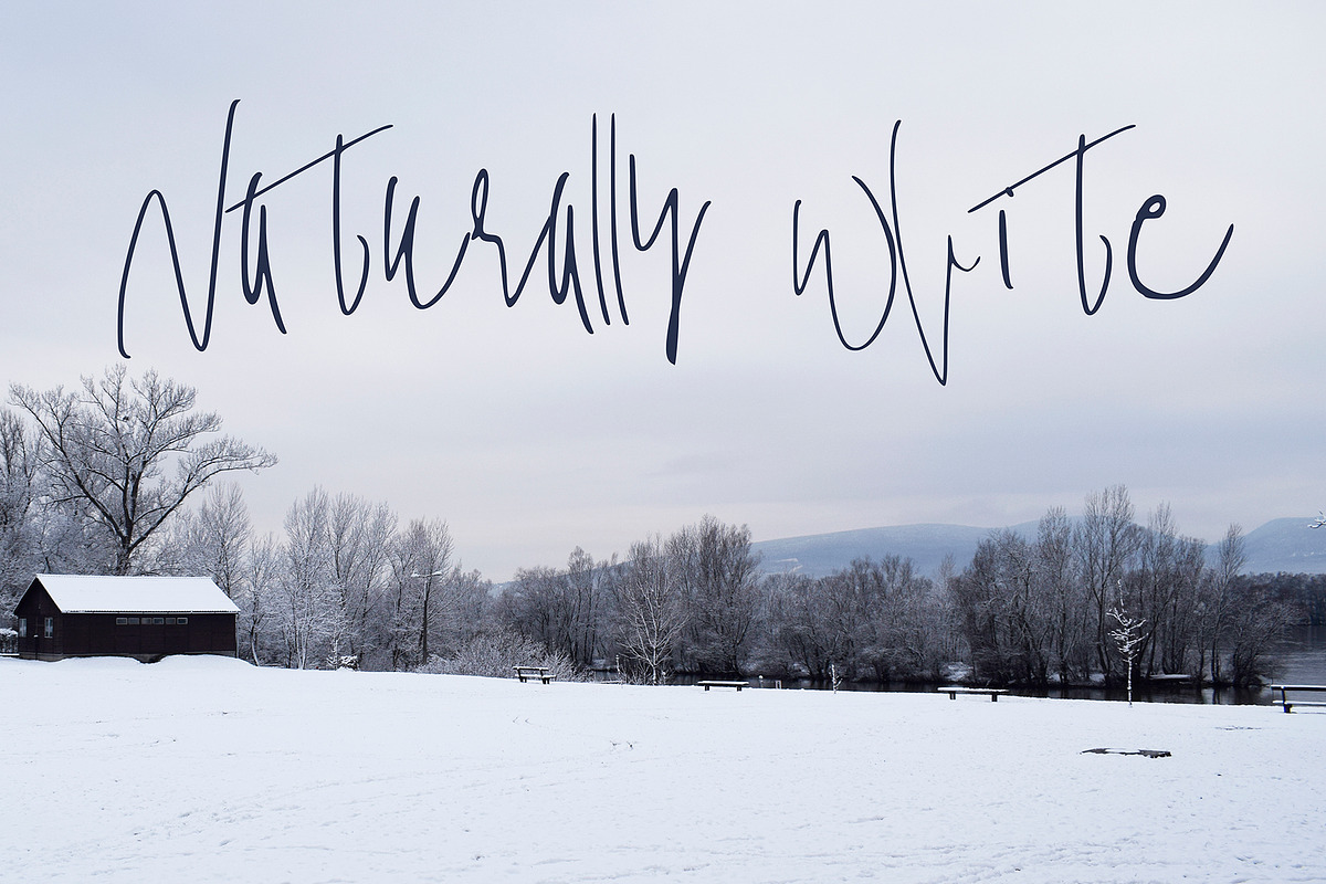 Wilson Font, a Script Font by SophieSaxo (Photo 4 of 9)