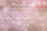 Midnight Letter - Handwritten Script, a Handwritten Font by Lilithcollageart (Thumbnail 5 of 7)