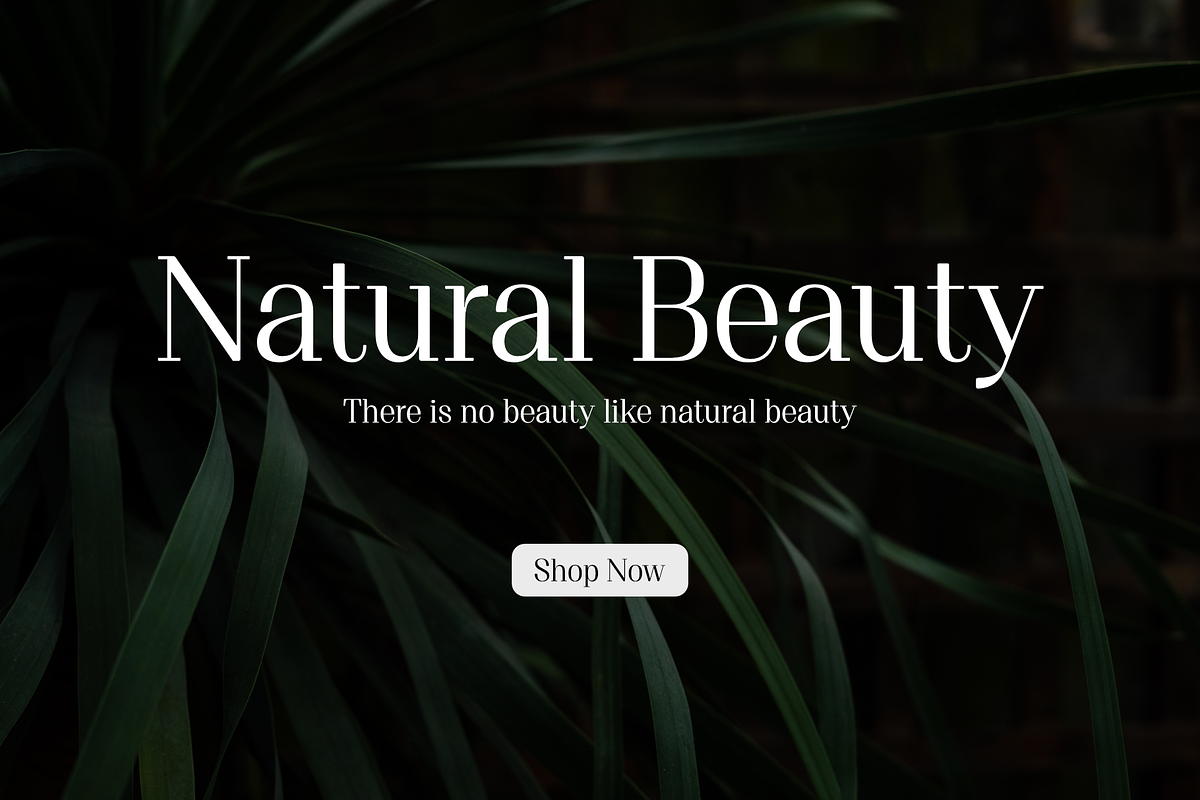 Proto Serif Medium, a Serif Font by Bukva™ Type Foundry (Photo 10 of 13)