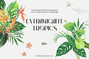 BUNDLE 95 in 1 - 11000 Watercolor, a Decorative Illustration by Catch the Dream Art (Thumbnail 35 of 96)