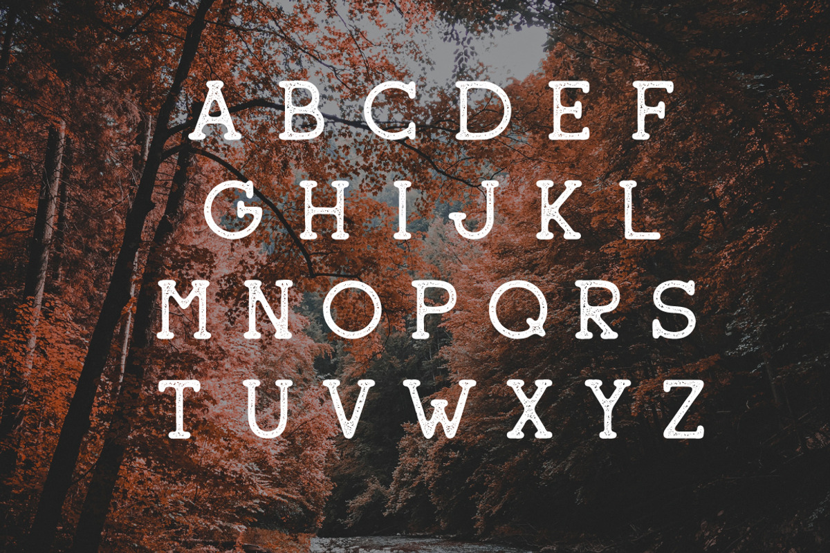 Sherman Font + 3 Logo Templates preview 2