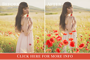 Red Poppies photo overlays set, an Object Graphic by BrownLeopard (Thumbnail 6 of 6)